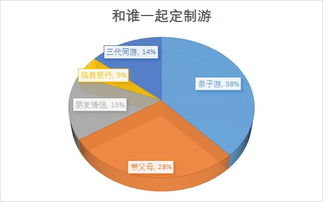 電子商務(wù)與互聯(lián)網(wǎng)數(shù)據(jù)中心 199it軟件外包服務(wù)的價(jià)值與影響
